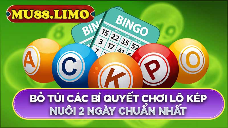 bí quyết chơi lô kép nuôi 2 ngày chuẩn nhất