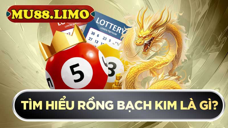 Tìm hiểu Rồng bạch kim là gì?